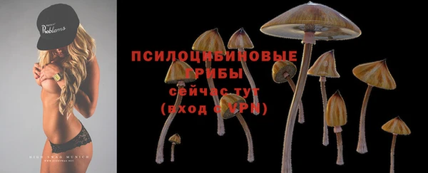 ешки Алексин