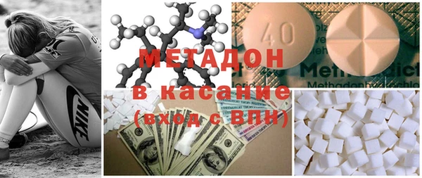 индика Алзамай
