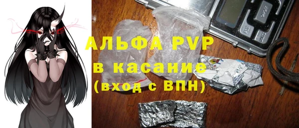 индика Алзамай