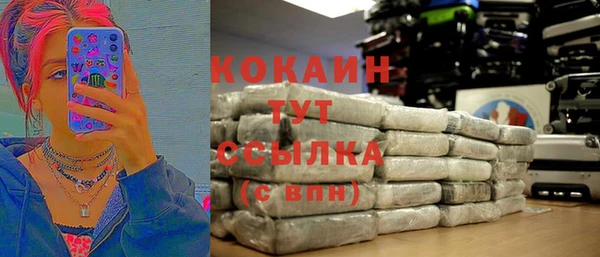 индика Алзамай
