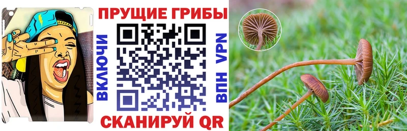Галлюциногенные грибы GOLDEN TEACHER  Заволжск 